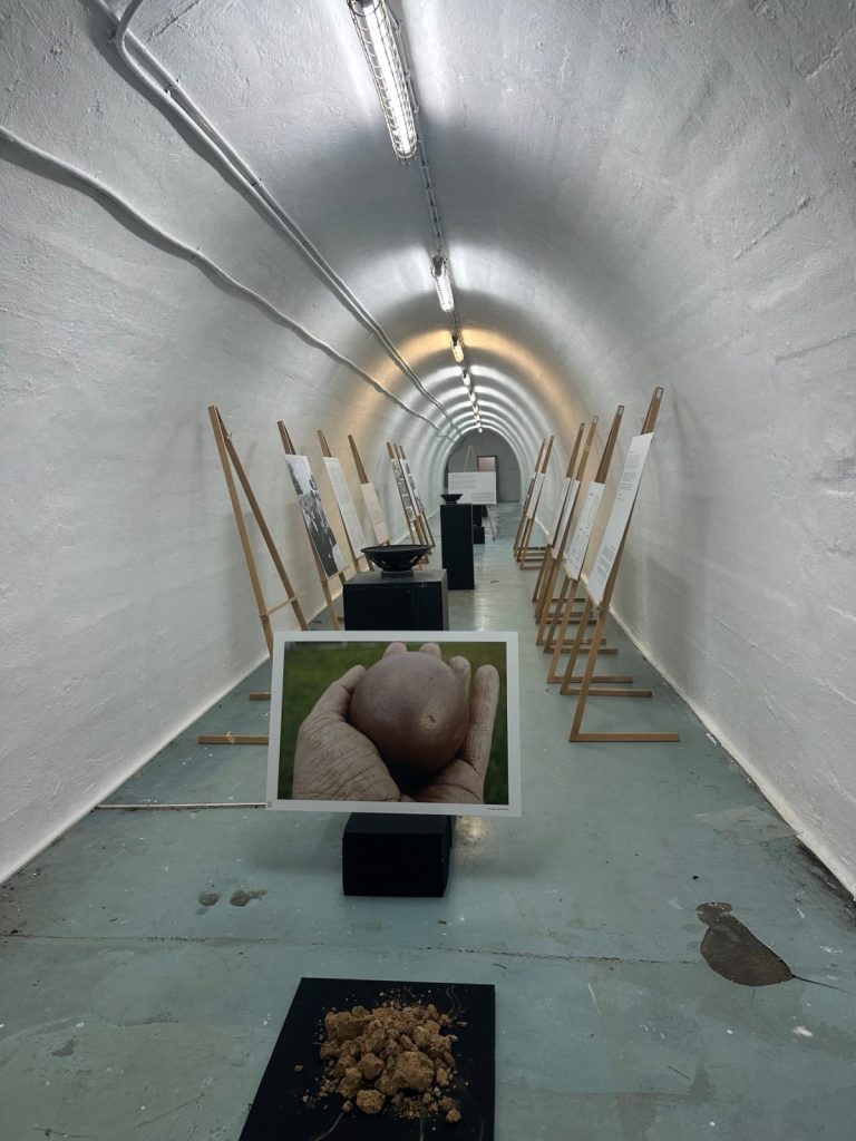izlozba tunel 4