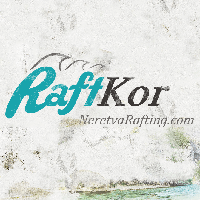 raftcore