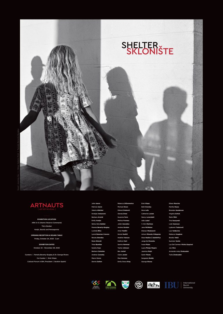 !Shelter_B2Poster_FinalUpdatedPress-2-images-0