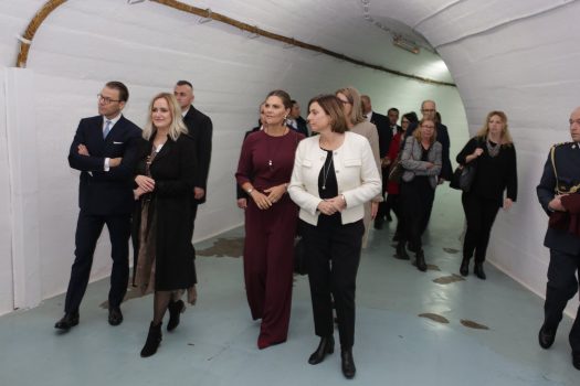 ŠVEDSKA PRINCEZA 1